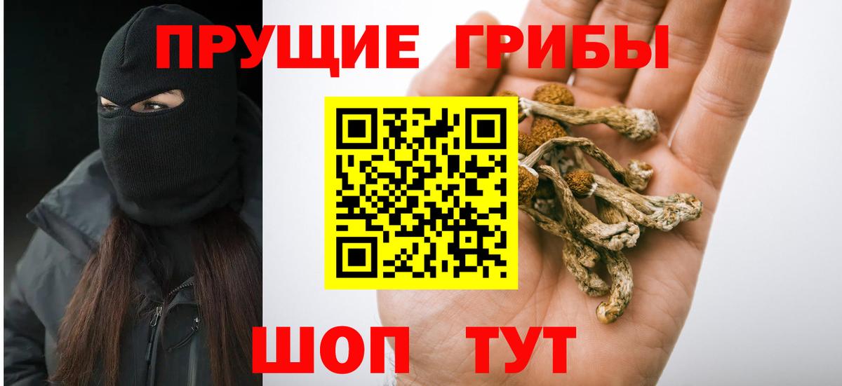 Псилоцибиновые грибы мухоморы Шелехов